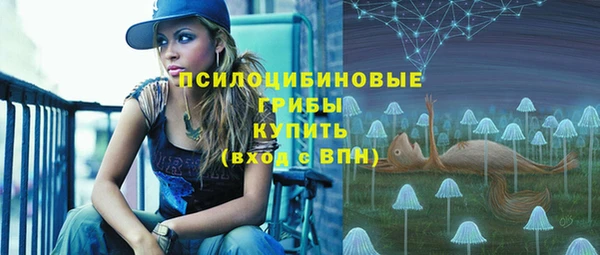 apvp Балахна