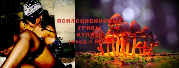 spice Баксан
