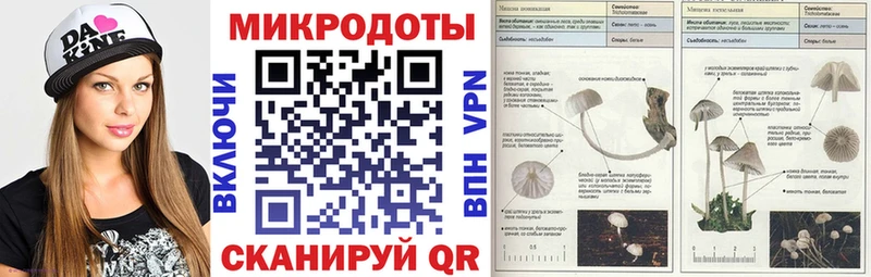 Галлюциногенные грибы мухоморы  Динская 
